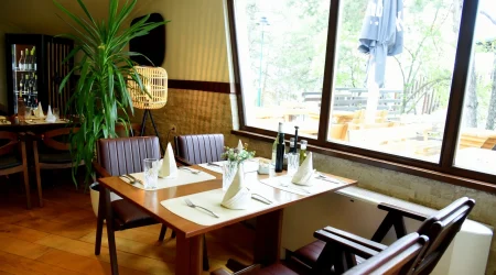 Hotel Trebjesa - Nove Slike (11)